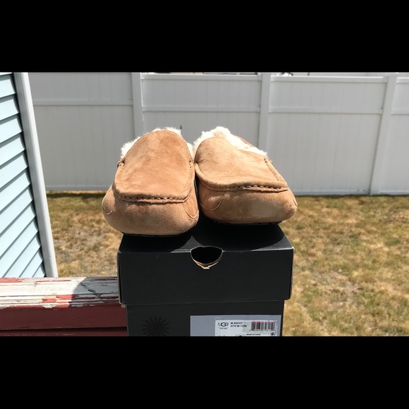 UGG Ascort Slippers - Picture 3 of 7
